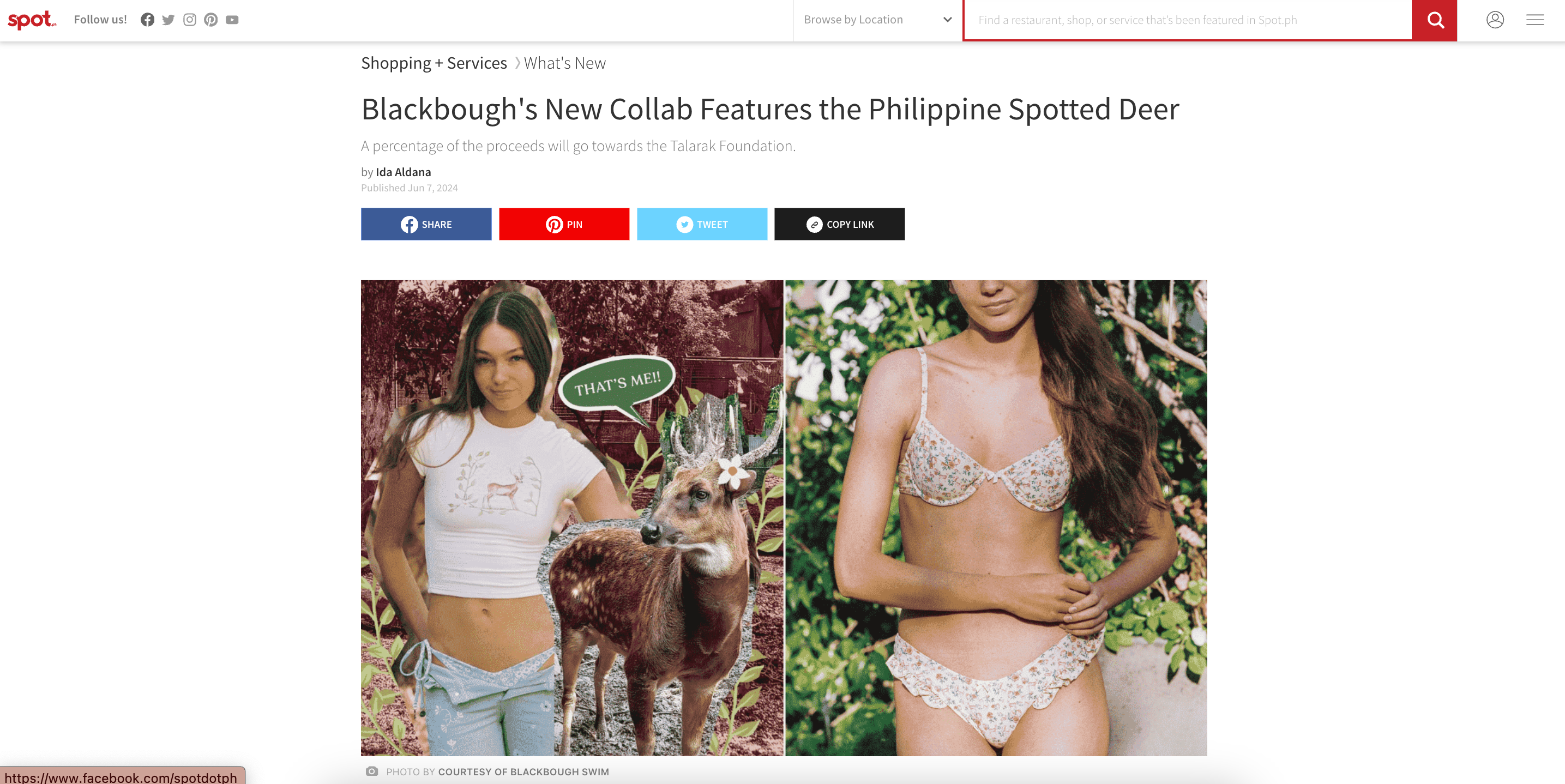 SPOT: Blackbough's New Collab Features the Philippine Spotted Deer