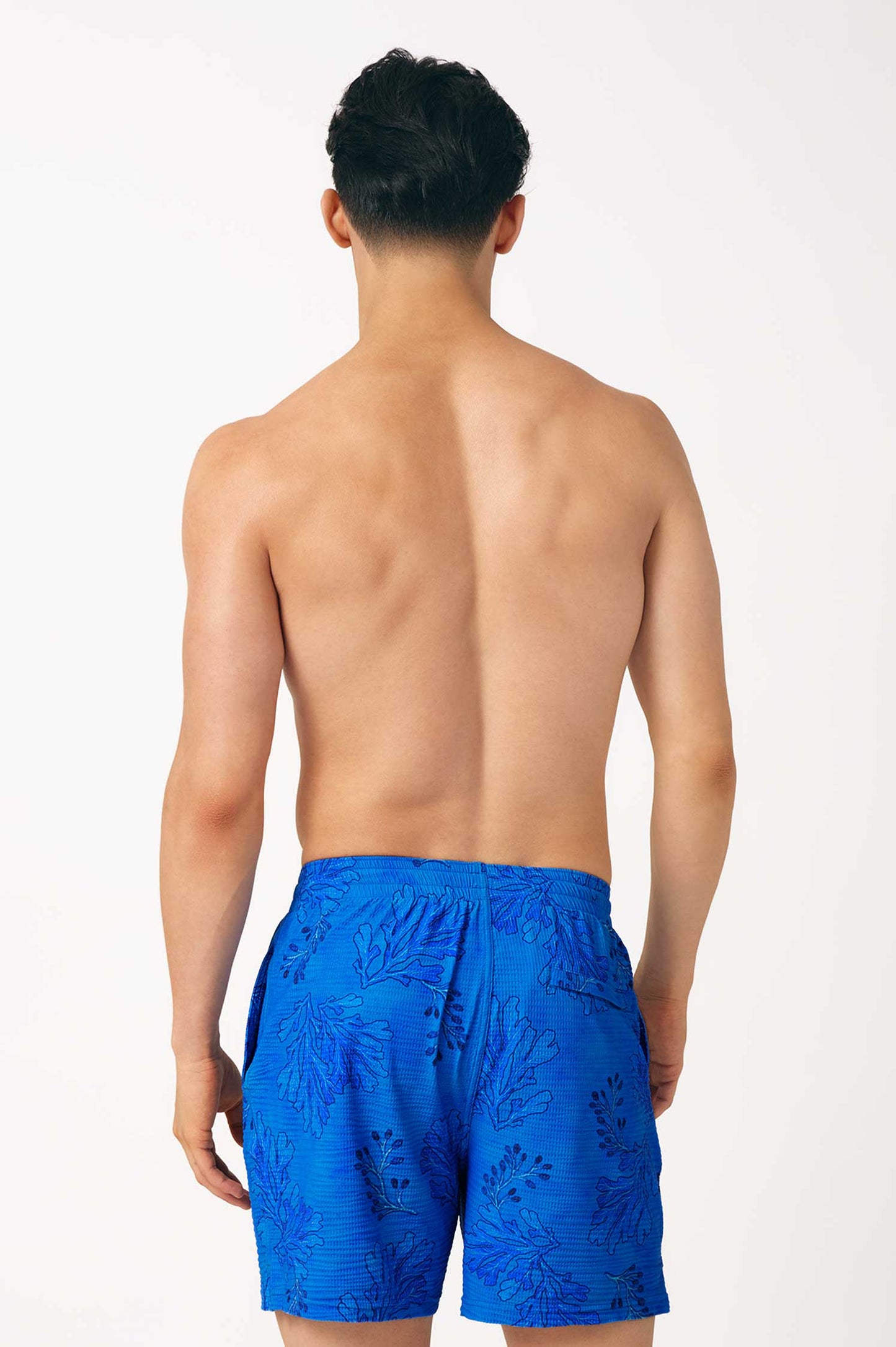 Men's Swim Shorts / Reef Blue