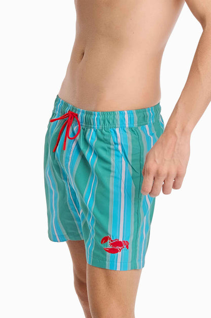 Men's Board Shorts / Good Catch Stripe