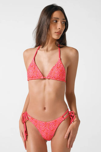 Parker Triangle Top / Spice Isle