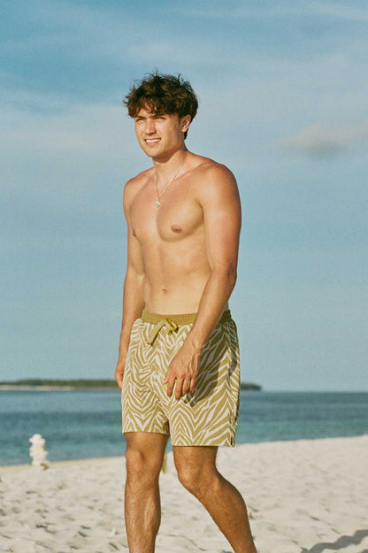 Men's Swim Shorts / Moss Green