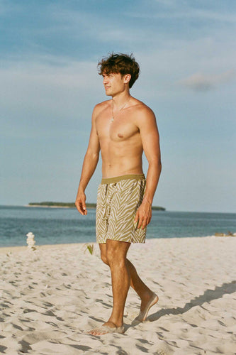 Men's Swim Shorts / Moss Green