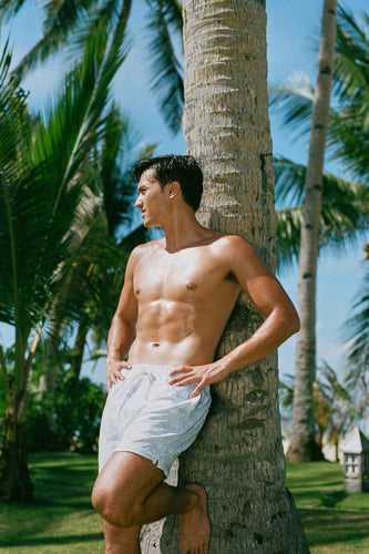 Men's Swim Shorts / Salt Air