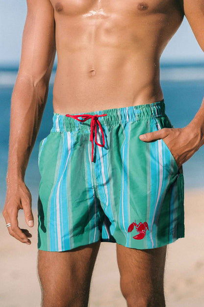 Men's Board Shorts / Good Catch Stripe