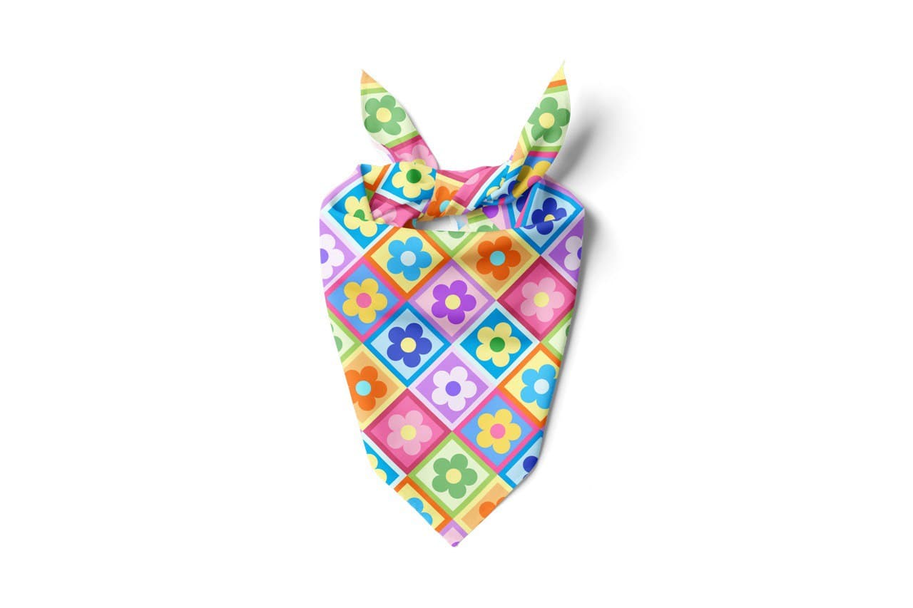Bandana / Indie Kid FINAL SALE